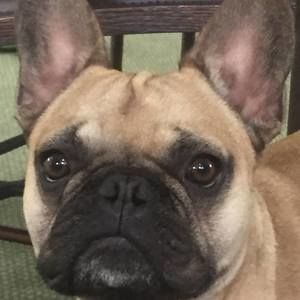 Meet your Posher, Lucy